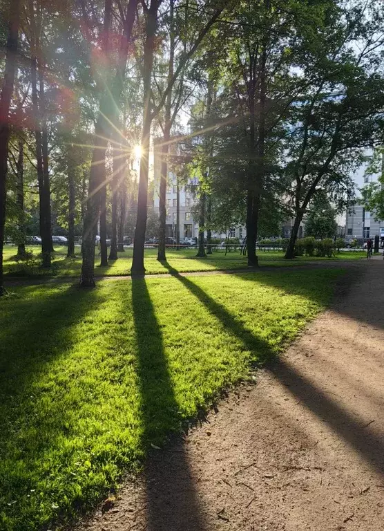 2-к кв. Санкт-Петербург просп. Средний Васильевского острова, 85 (67.9 ... - Фото 0