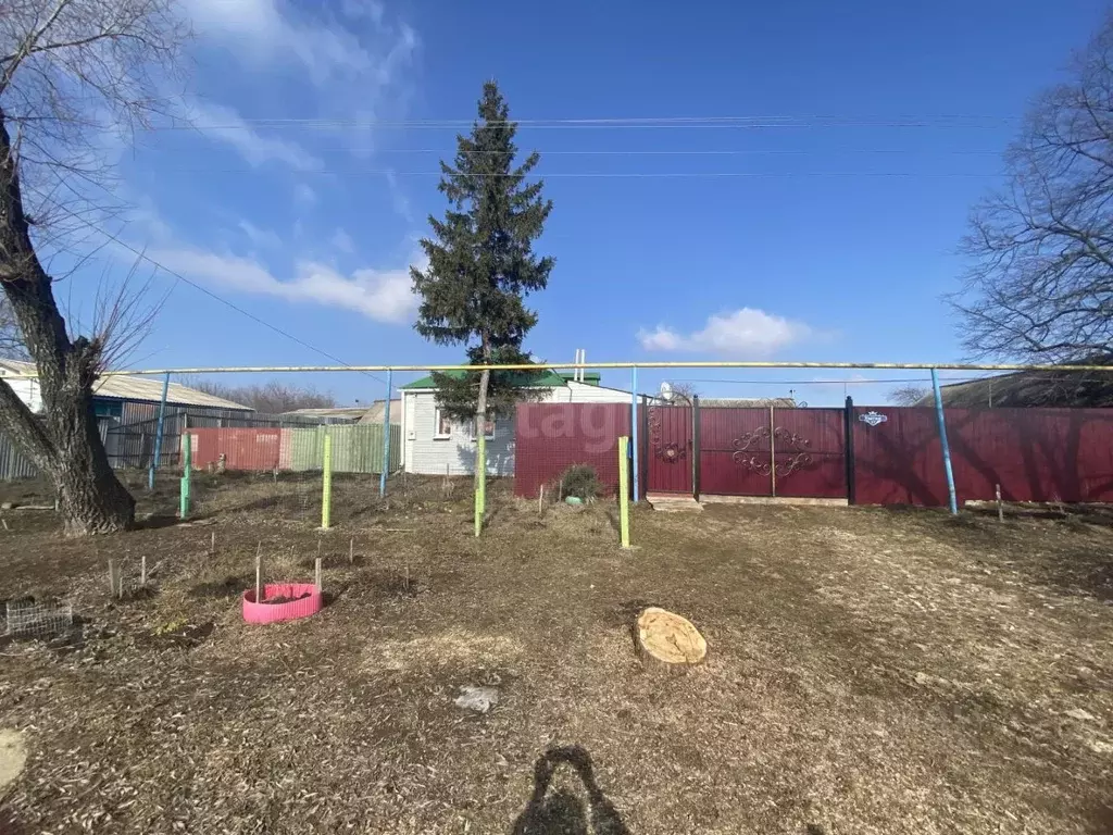 Дом в Белгородская область, Корочанский район, Проходенское с/пос, с. ... - Фото 2