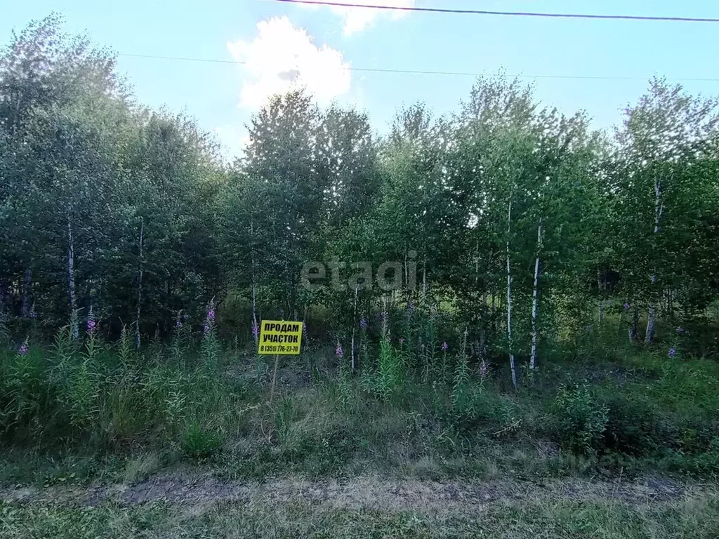 Участок в Челябинская область, Аргаяшский район, Дербишевское с/пос, ... - Фото 0