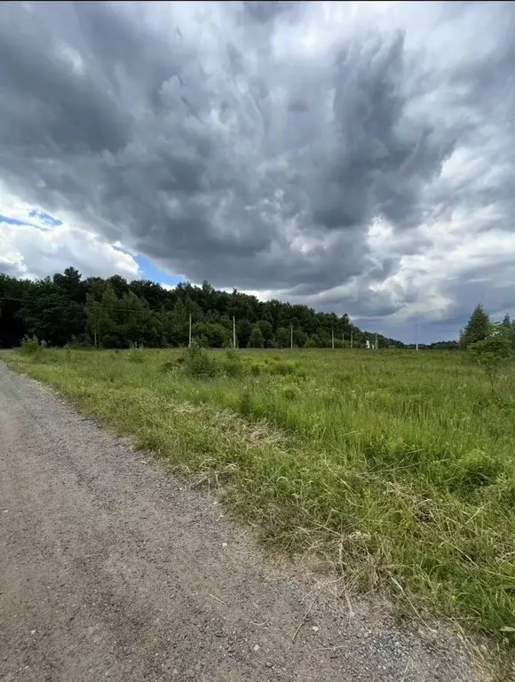 Участок в Московская область, Ленинский городской округ, Молоковское ... - Фото 1