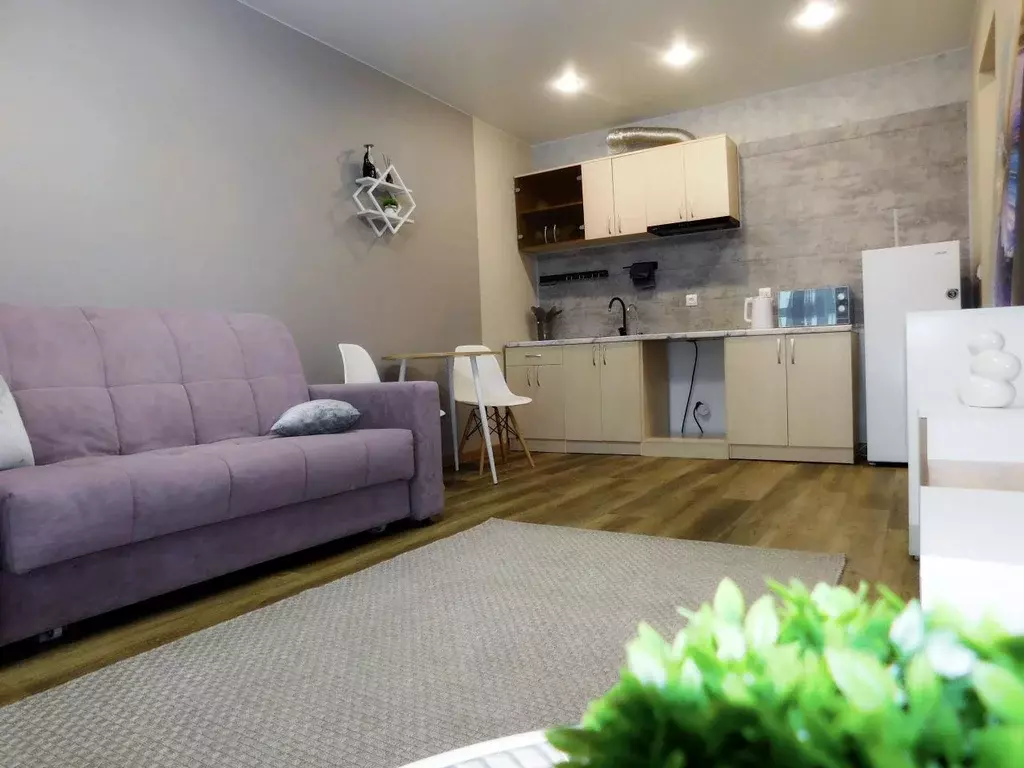 Студия Алтайский край, Барнаул тракт Павловский, 307к3 (23.9 м) - Фото 2