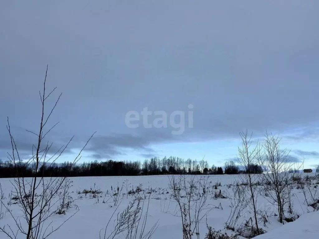 Участок в Вологодская область, д. Дитятьево  (12.0 сот.) - Фото 1