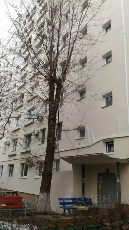 1-к кв. Волгоградская область, Волгоград ул. Гороховцев, 30 (32.0 м) - Фото 1