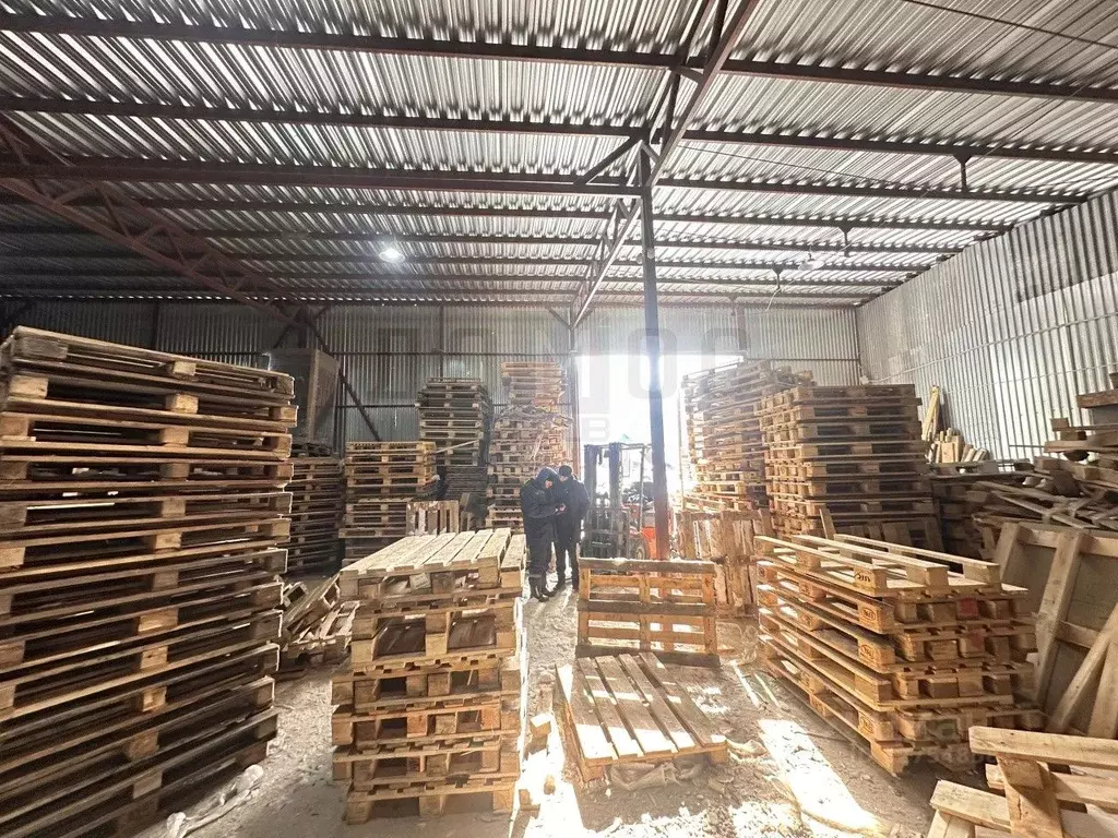 Склад в Свердловская область, Сысертский муниципальный округ, пос. ... - Фото 2