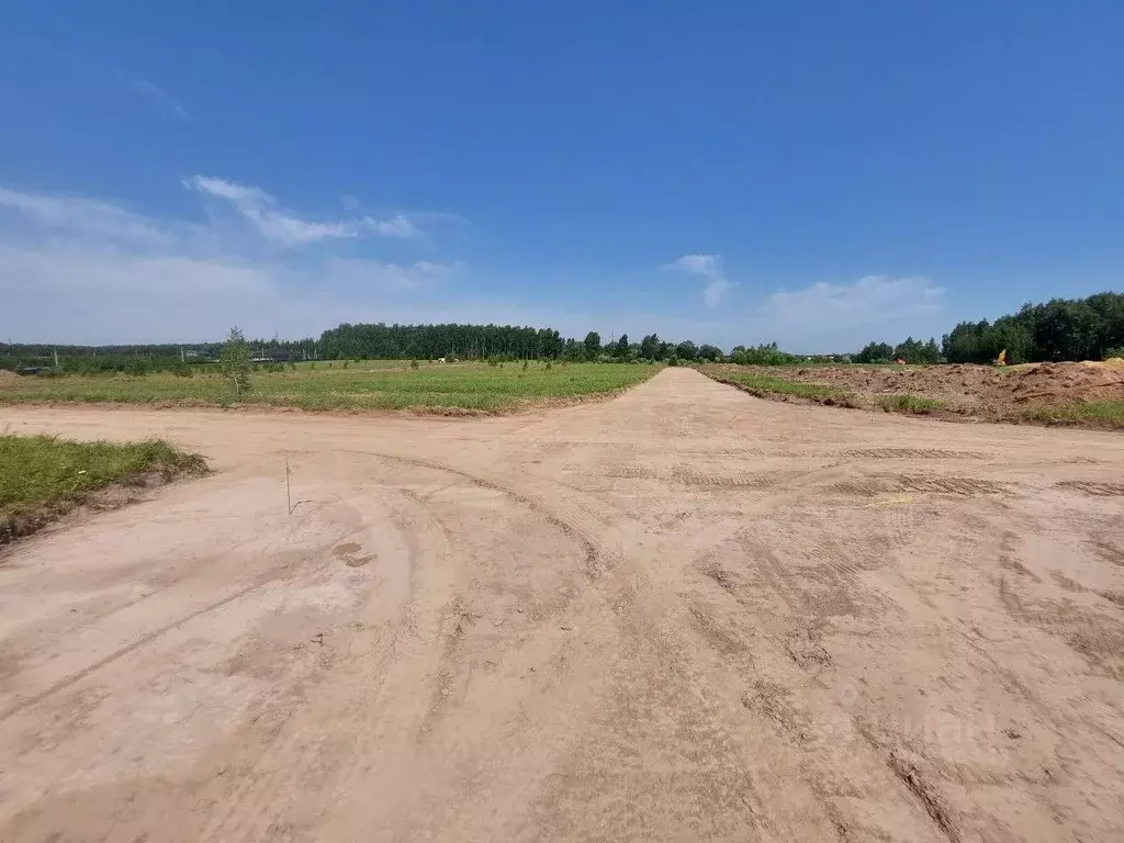 Участок в Московская область, Раменский муниципальный округ, Ист ... - Фото 2