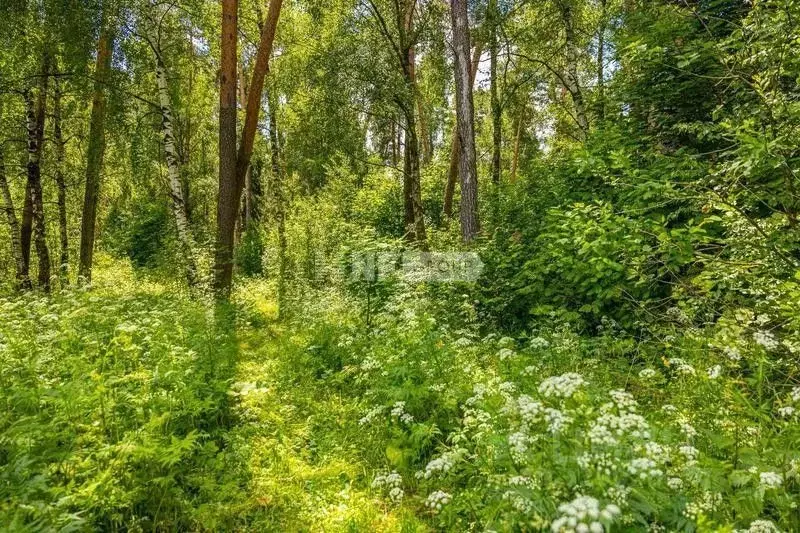 Участок в Московская область, Красногорск городской округ, с. ... - Фото 2