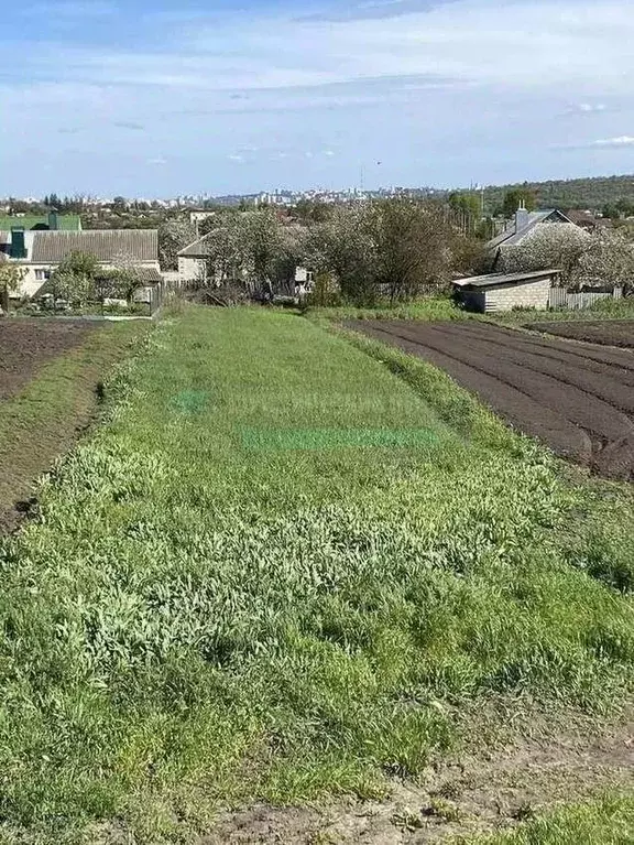 Участок в Белгородская область, Белгородский район, с. Стрелецкое ул. ... - Фото 0