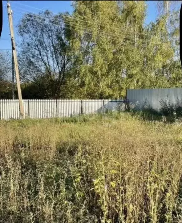 Участок в Тульская область, Веневский муниципальный округ, Коломенская ... - Фото 1