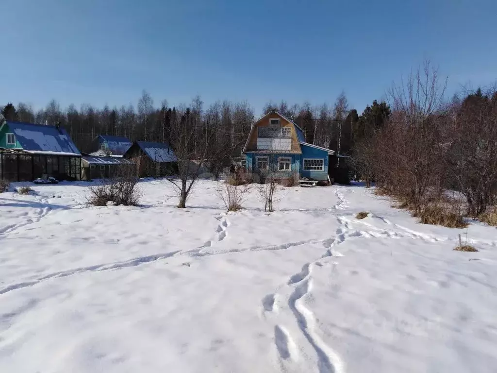 Участок в Вологодская область, Подлесье садоводческое товарищество  ... - Фото 2