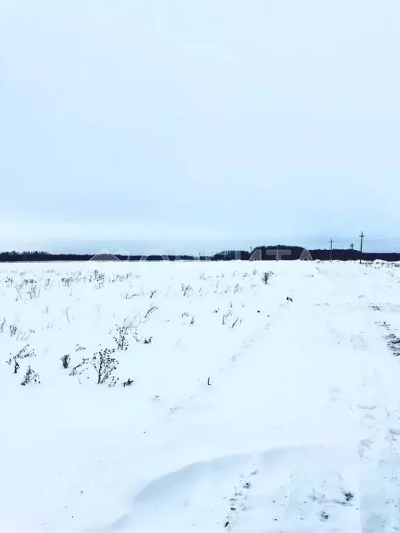Участок в Тюменская область, Тюменский район, с. Горьковка Сибирская ... - Фото 0