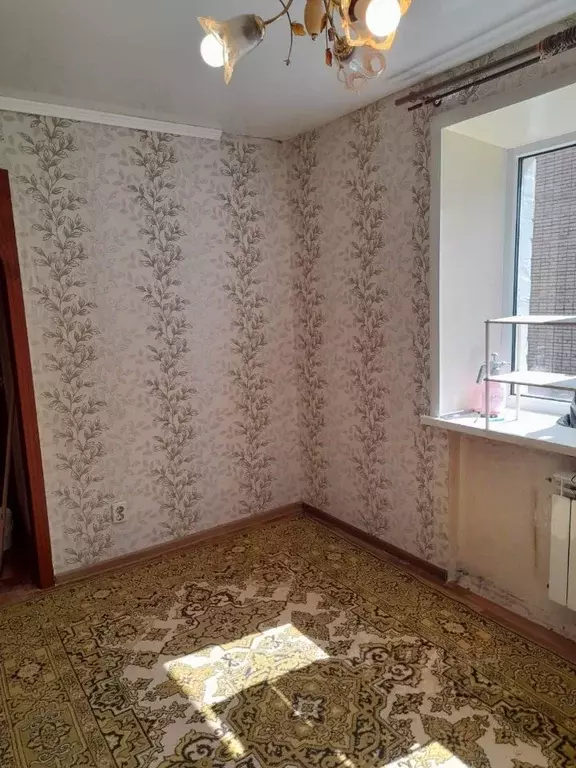 1-к кв. Липецкая область, Липецк ул. Жуковского, 7 (23.0 м) - Фото 0