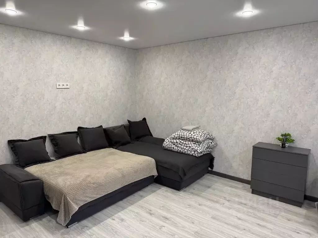 Студия Московская область, Коломна Пионерская ул., 33 (31.0 м) - Фото 2