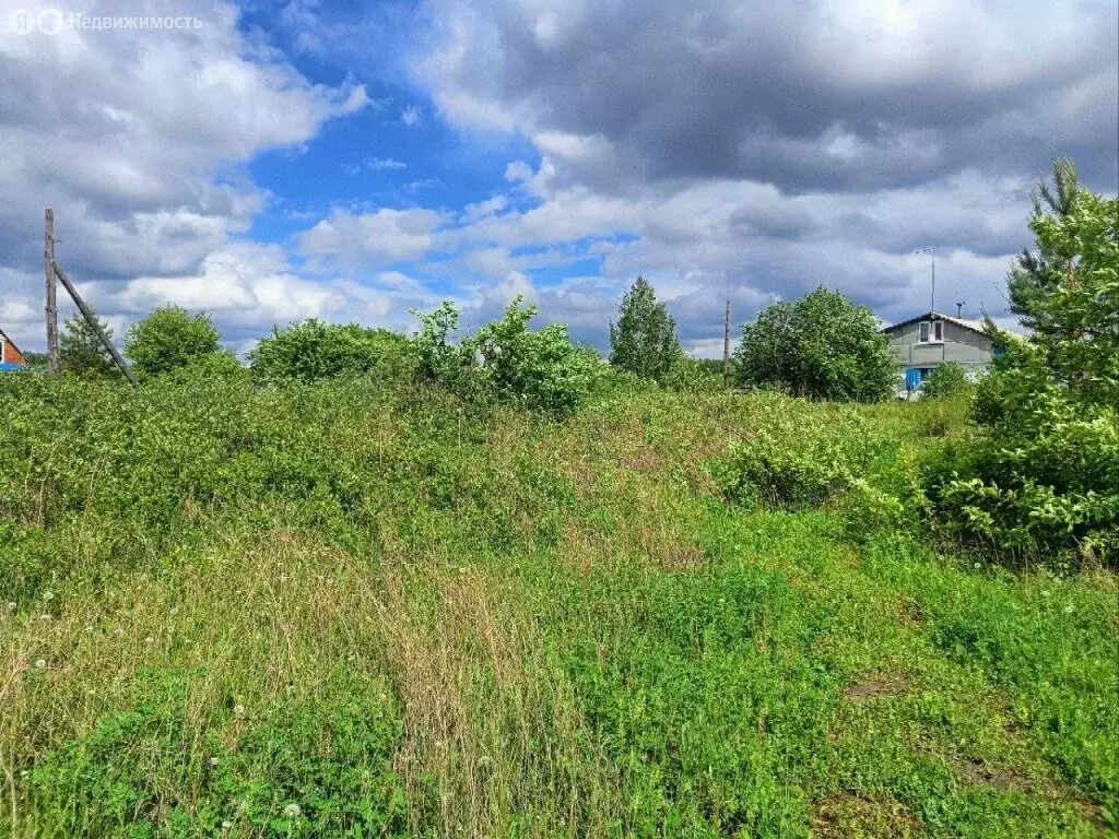Участок в Калманский район, ДНТ Зимари (10 м) - Фото 0