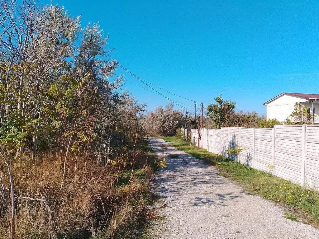 Участок в Крым, Ленинский район, Белинское с/пос, с. Новоотрадное ул. ... - Фото 1