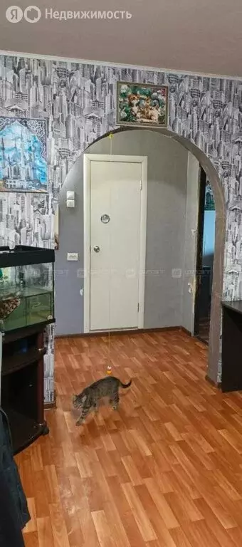 3к в -комнатной квартире ( м) - Фото 2