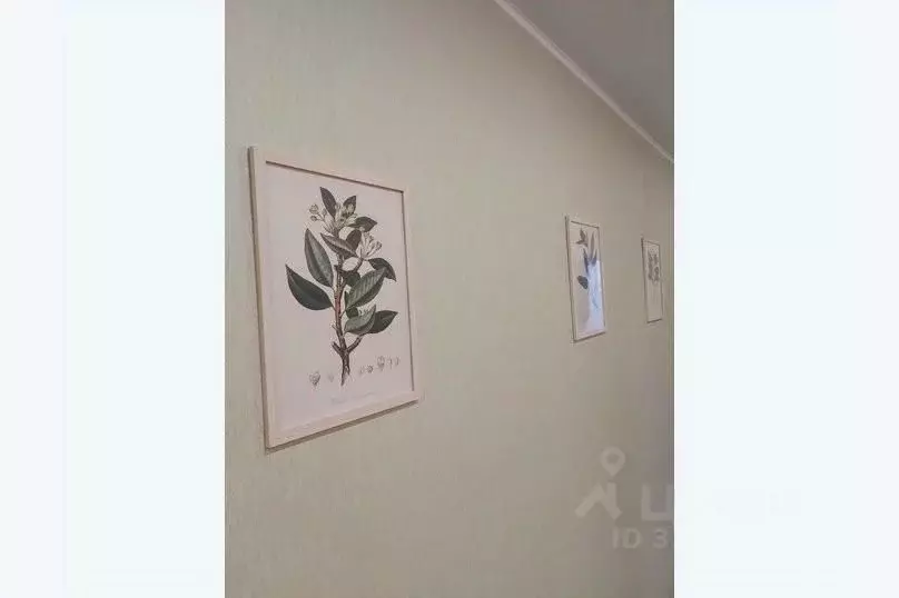 2-к кв. Воронежская область, Воронеж бул. Олимпийский, 14 (64.0 м) - Фото 1