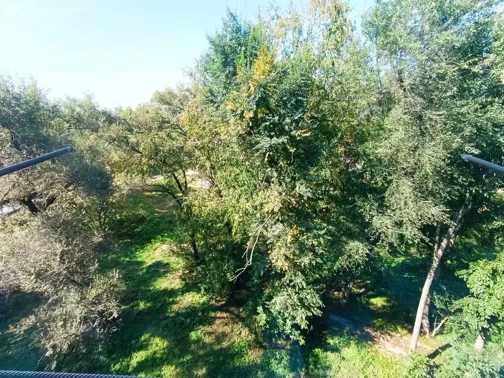 1-комнатная квартира: Лесозаводск, Заводская улица, 6 (17.6 м) - Фото 1
