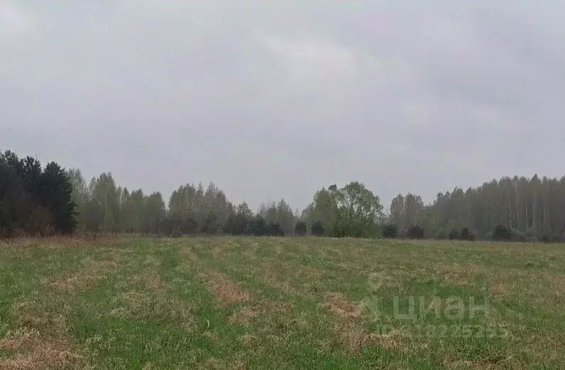 Участок в Московская область, Дмитровский муниципальный округ, д. ... - Фото 0