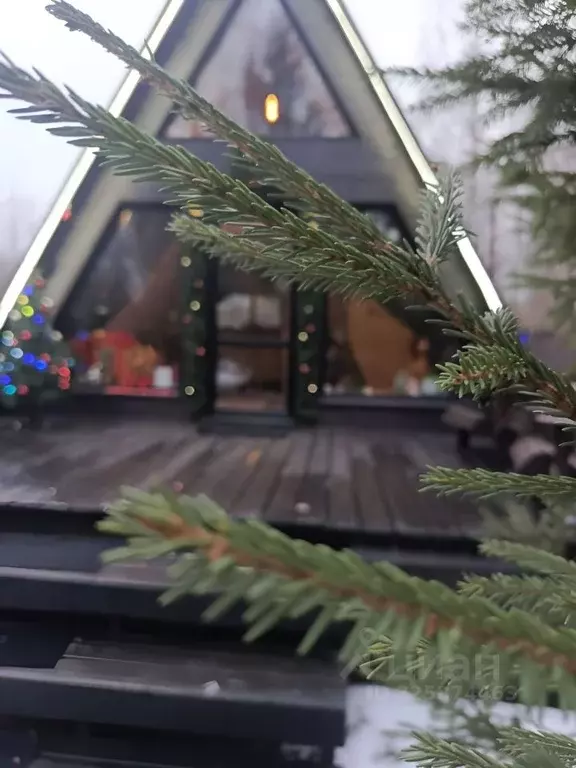 Дом в Ивановская область, Ивановский район, Богородское с/пос, Вика ... - Фото 1