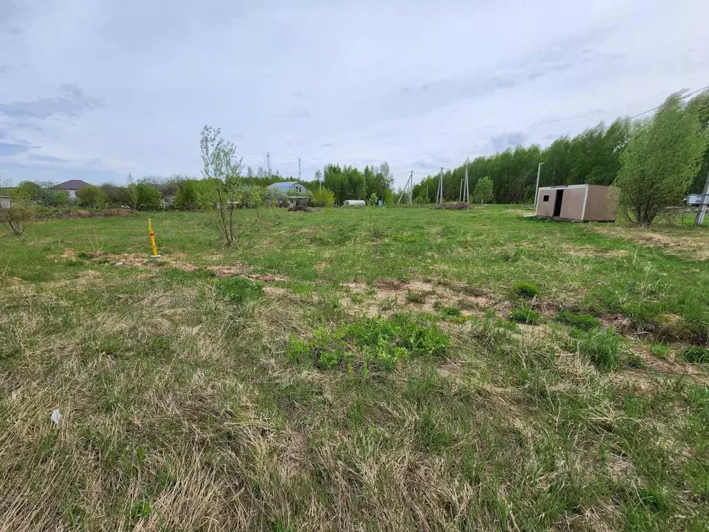 Участок в Нижегородская область, Богородский муниципальный округ, д. ... - Фото 1