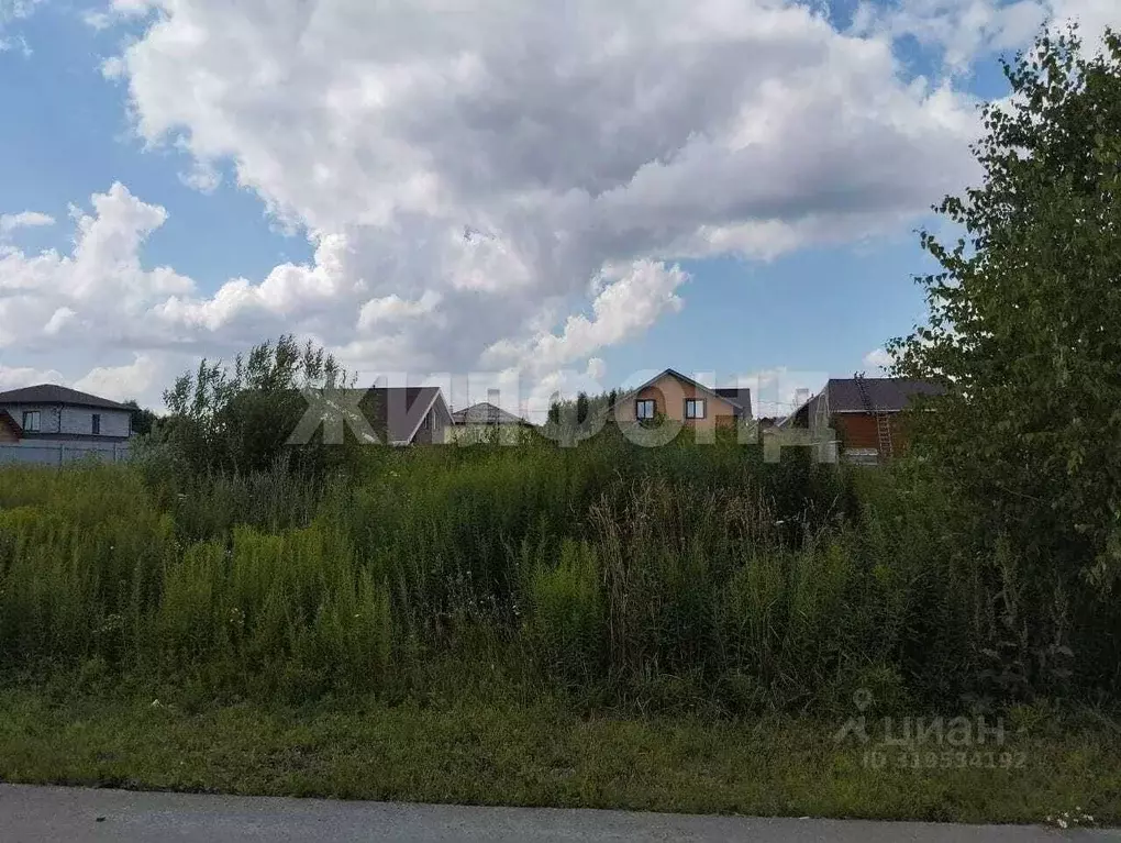 Участок в Новосибирская область, Новосибирский район, Каменский ... - Фото 0