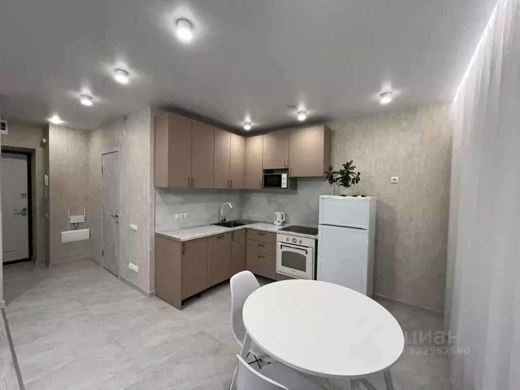 Студия Татарстан, с. Высокая Гора ул. Вторая Ударная, 4 (33.8 м) - Фото 1