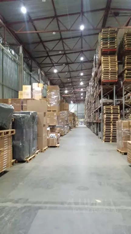 Склад в Московская область, Богородский городской округ, Обухово пгт ... - Фото 2