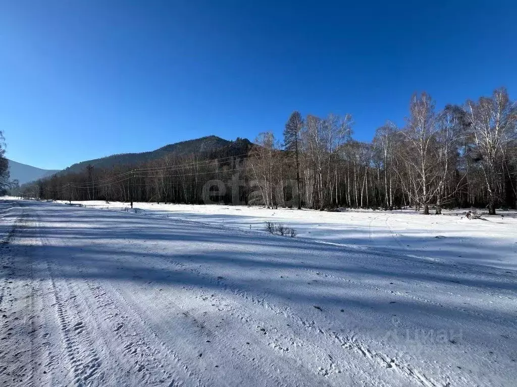 Участок в Алтай, Усть-Коксинский район, с. Мульта Центральная ул. ... - Фото 1