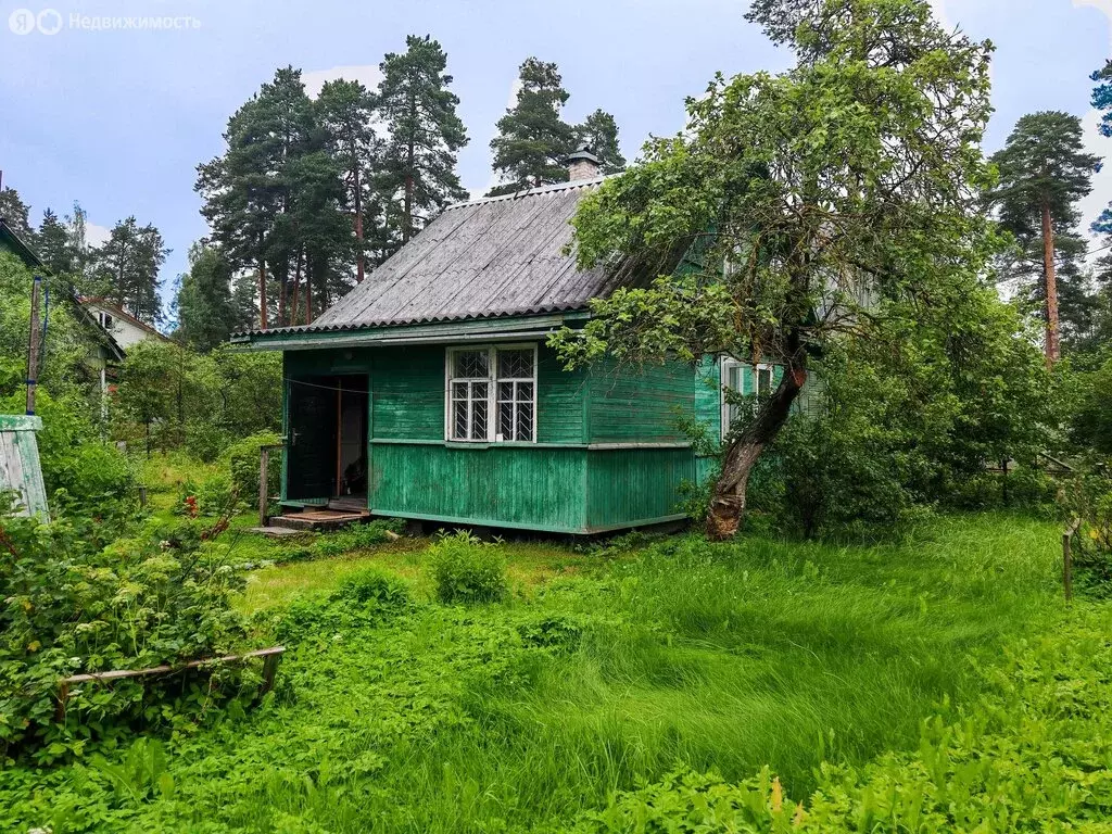 Дом в Вырица, Сиверское шоссе, 107 (45 м) - Фото 0