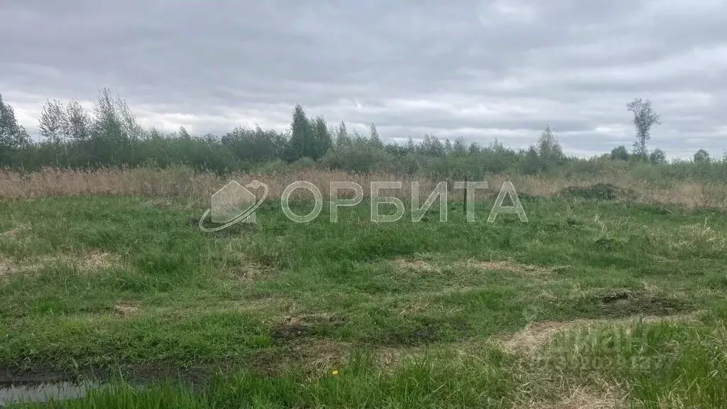 Участок в Тюменская область, Тюмень Большое Царево-3 ОНТ,  (10.0 сот.) - Фото 2