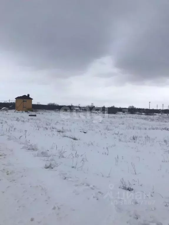 Участок в Саратовская область, с. Боковка ул. Лесная (10.0 сот.) - Фото 0