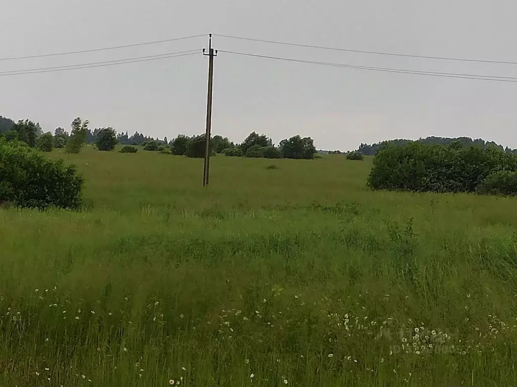 Участок в Московская область, Можайский муниципальный округ, д. ... - Фото 2