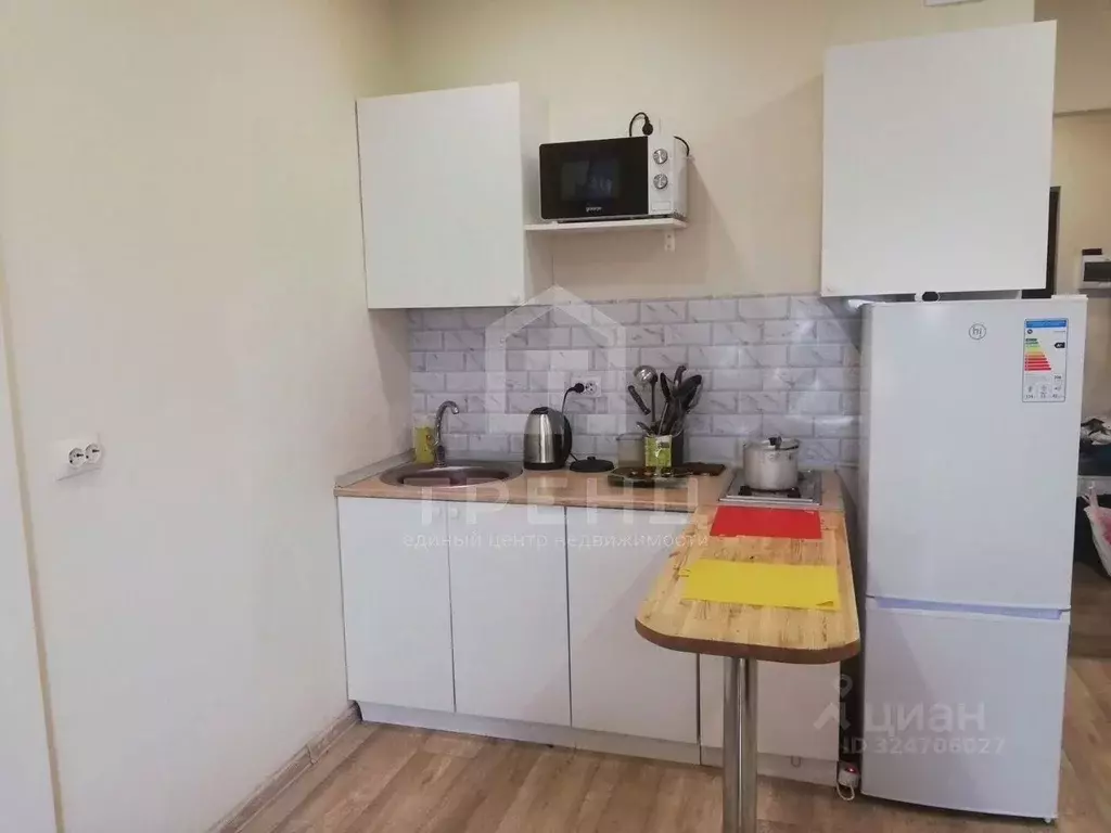 Студия Санкт-Петербург проезд Дизельный, 11к1 (22.0 м) - Фото 1