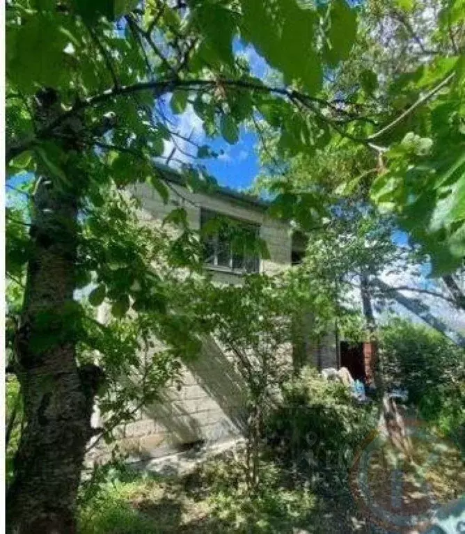 Участок в Крым, Симферопольский район, Трудовское с/пос, Минерал СНТ ... - Фото 1