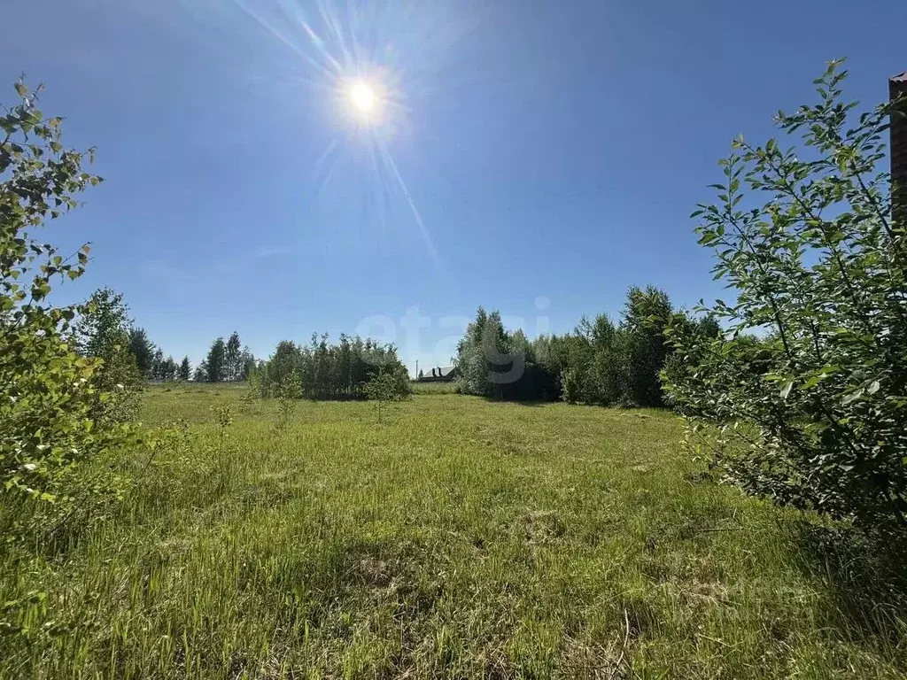 Участок в Тульская область, Тула городской округ, с. Частое  (16.0 ... - Фото 1