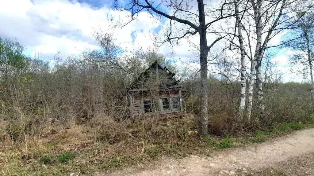 Участок в Новгородская область, Новгородский район, Панковское ... - Фото 1