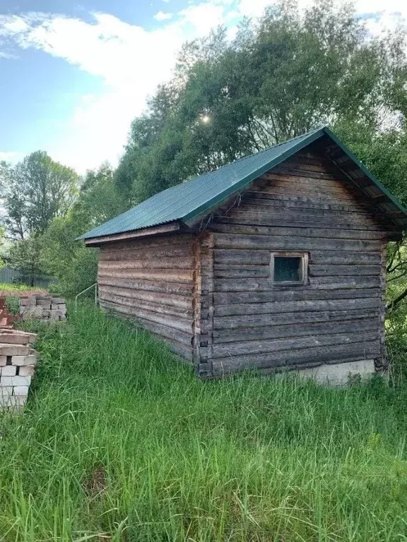 Участок в Калужская область, Дзержинский район, с. Дворцы ул. Лесная, ... - Фото 2