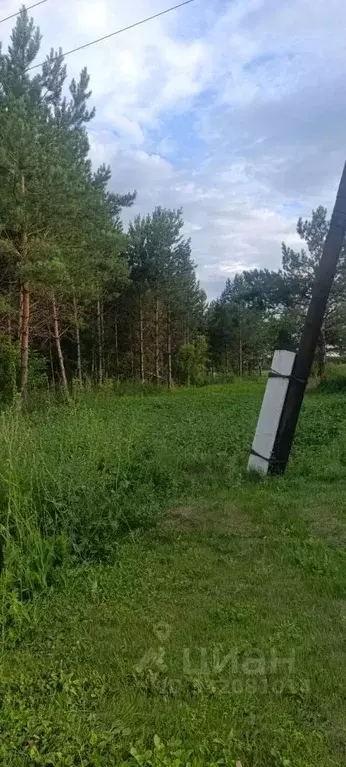 Участок в Алтайский край, Барнаул городской округ, пос. Черницк ул. ... - Фото 1