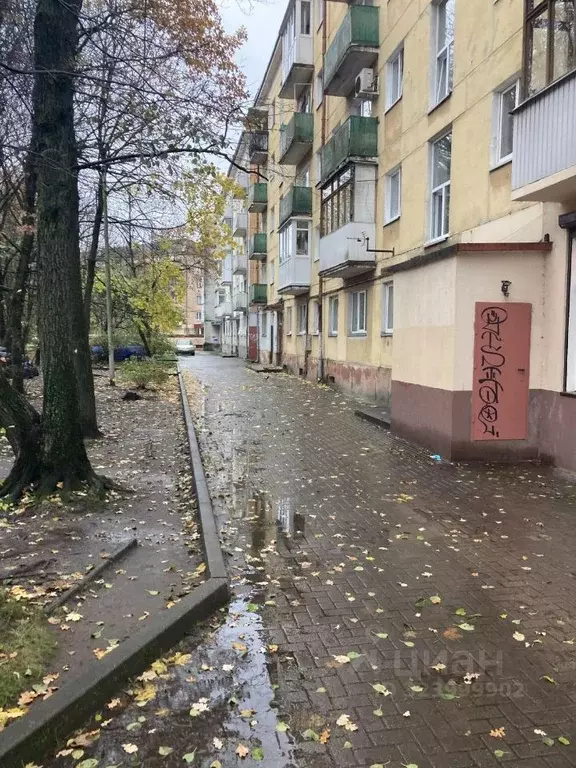 2-к кв. Калининградская область, Калининград Советский просп., 38 ... - Фото 2