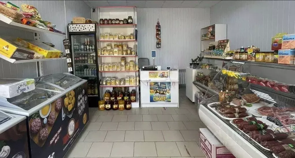 Помещение свободного назначения в Ставропольский край, Михайловск ... - Фото 2