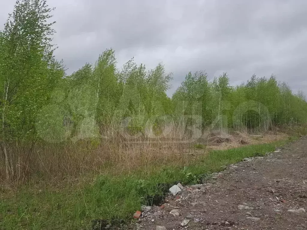 Участок 9,9 сот. (СНТ, ДНП) - Фото 0