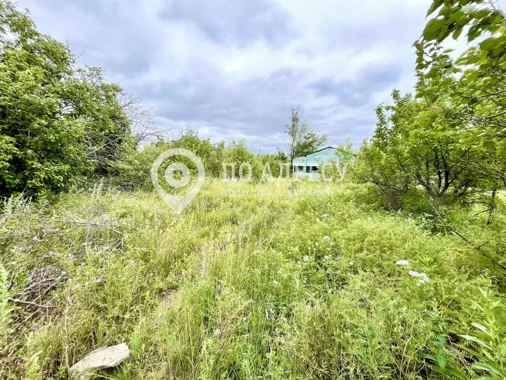 Участок 6 сот. (СНТ, ДНП) - Фото 0
