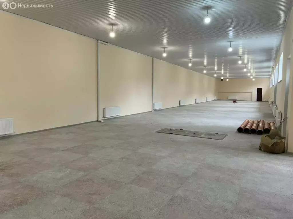 Помещение свободного назначения (850 м) - Фото 2