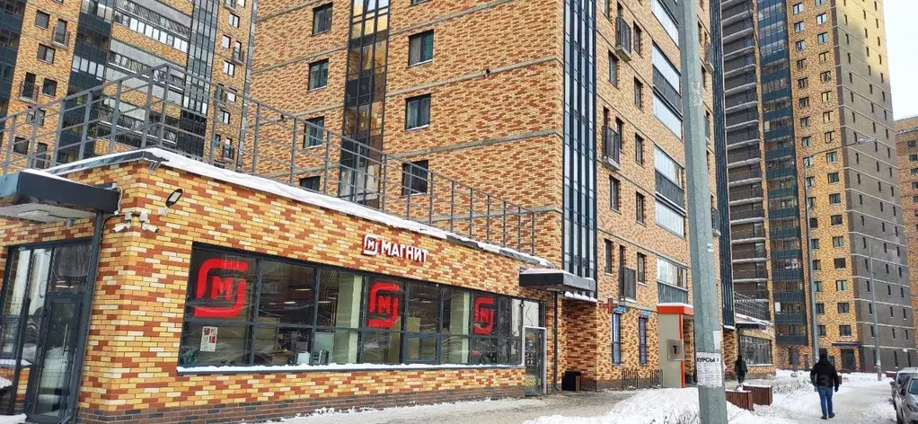 Студия Санкт-Петербург пос. Парголово, Заречная ул., 46к1 (24.0 м) - Фото 2