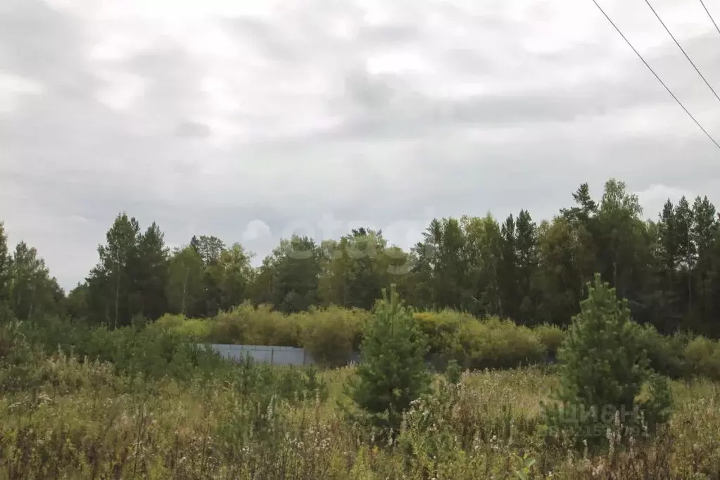 Участок в Свердловская область, Полевской муниципальный округ, д. ... - Фото 1