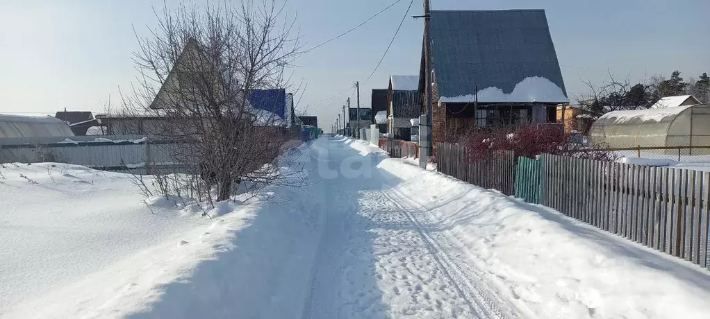 Участок в Курганская область, Курган Боровое СНТ,  (8.3 сот.) - Фото 1