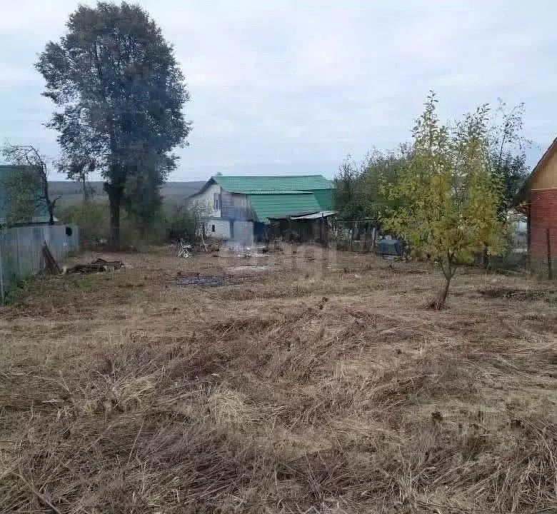 Участок в Тульская область, Киреевский район, Дедиловское с/пос, с. ... - Фото 2
