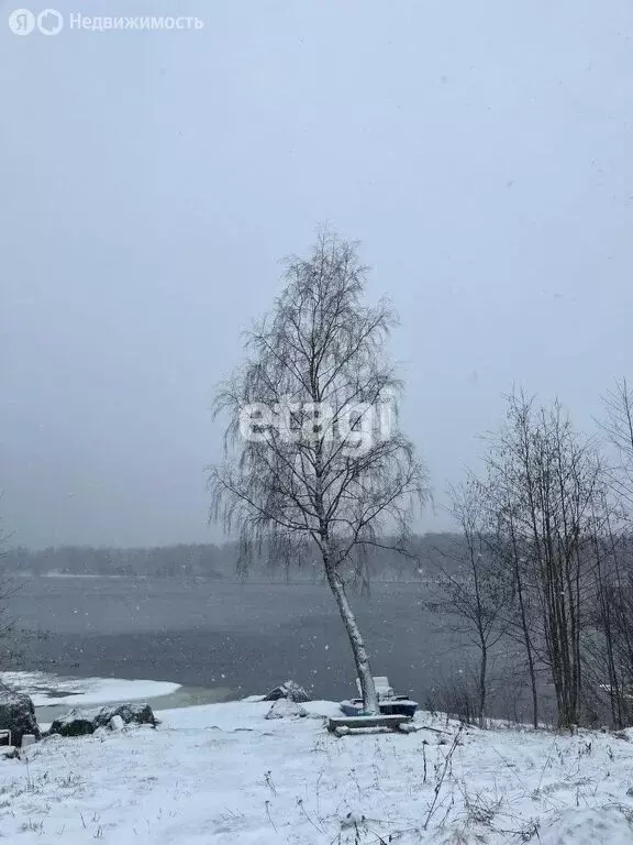 участок в приозерский район, ромашкинское сельское поселение, посёлок . - Фото 0