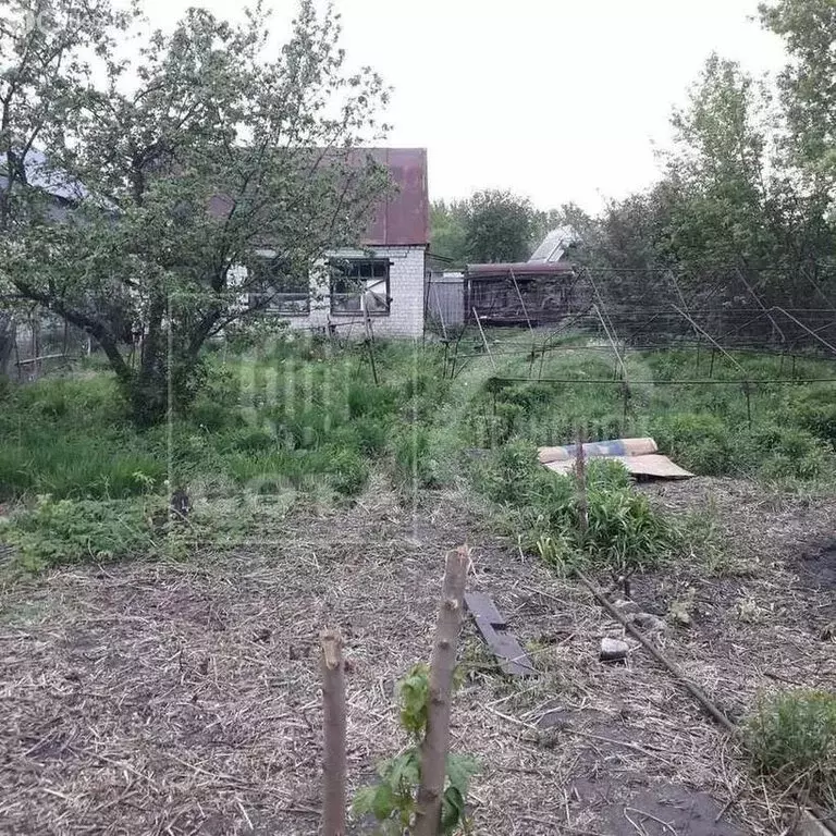 Дом в Воронеж, СНТ Кировец, 346 (48 м) - Фото 1