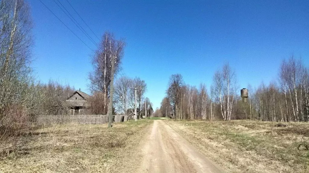 Дом в Тверская область, Оленинский район, д. Лезвино  (62 м) - Фото 2